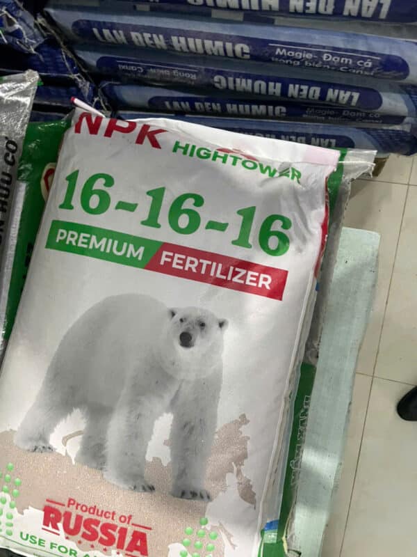 Fc8688853f038b5dd212